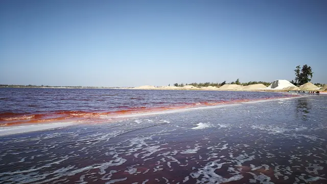 Růžové solné jezero v Senegalu s hromadami soli na břehu.