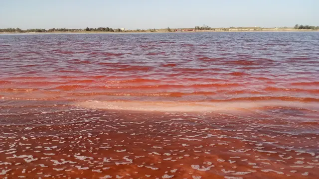 Růžové jezero v Senegalu.