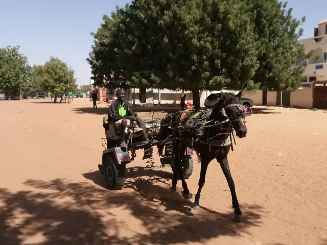 Senegal – fotka 5