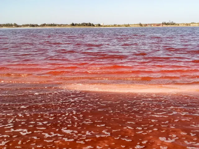 Senegal – fotka 7