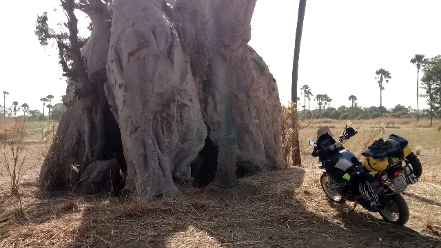 Senegal – fotka 8